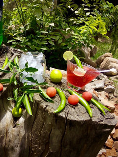 A picture of Watermelon chilli Mojito.