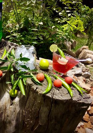 A picture of Watermelon chilli Mojito.