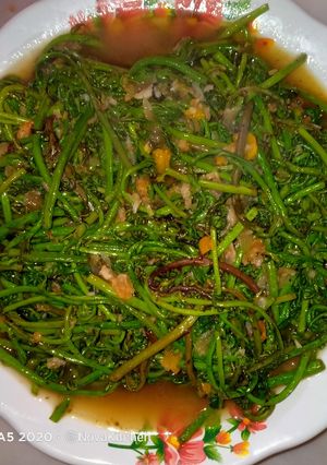 Foto resep Tumis Pucuk Pakis