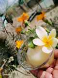 Sorbet de champagne