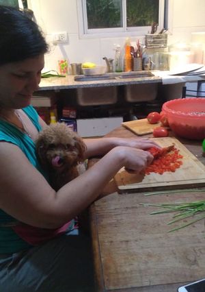 Una foto de Salsa base para escabeche de toda clase de carne