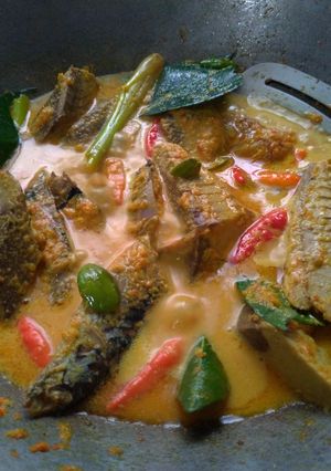 Foto resep Sayur ikan tongkol Bumbu Kuning