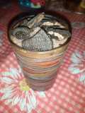 Milkshake Coklat Oreo