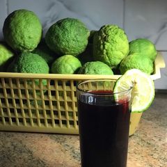 A picture of Zobo.