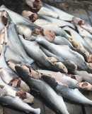 Lẩu Cá Dứa Bông Lục Bình