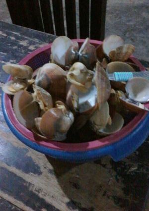 Foto resep Kerang Manis