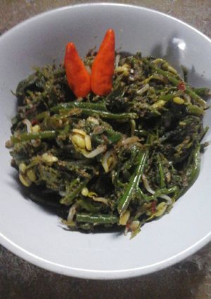 Foto resep Anyang pakis tauge ala mimi lia