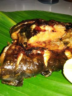 Foto resep Ikan patin bakar homemade simple
