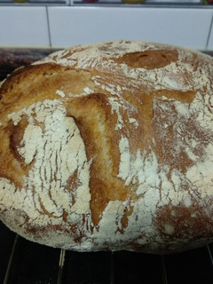 Una foto de Pan de trigo, Bolo de trigo (Bollo de trigo)
