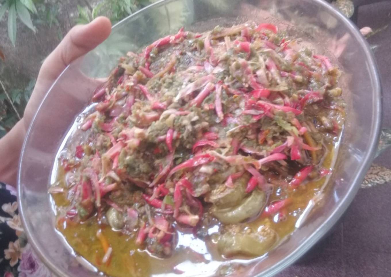 Kecombrang cabe ijo