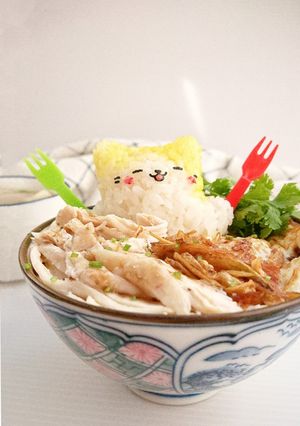 簡易雞肉飯(悶泡法) 的食譜成品照片