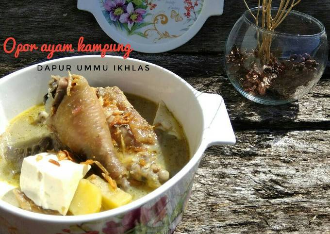 Opor ayam kampung