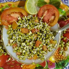A picture of Sprouted Moong Salad (Sprouted Whole green gram).