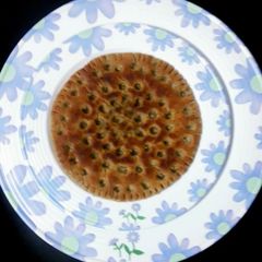 A picture of JOWAR & PEARL MILLET FLOUR RAJASTHANI KHOBA ROTI.
