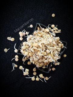 عکسی از دستور جوانه عدس (با روشی کاملا متفاوت)