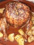 Pollo 