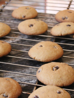 A picture of Chocolate cookies.