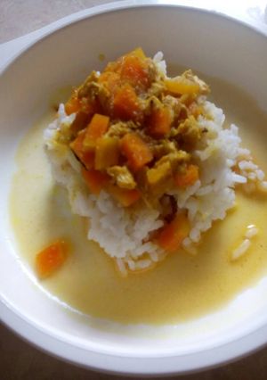 Foto resep Kari ayam untuk anak 1 tahun keatas-MPASI