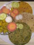 Tricolour parota republic day special