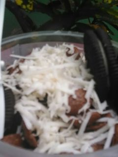 Foto resep Es kepal Milo