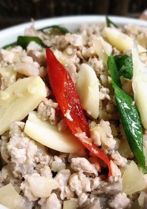 西瓜棉炒肉末 的食譜成品照片