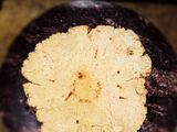 Jowar Bhakri🍞