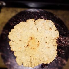 A picture of Jowar Bhakri🍞.