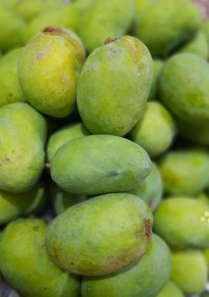 عکسی از دستور ترشی انبه سبز