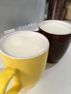 Una foto de Ayran turco (bebida de yogurt)