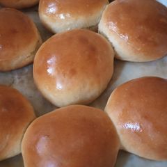 A picture of Buns.