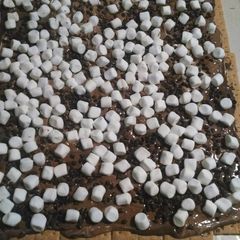 A picture of S'More bark.
