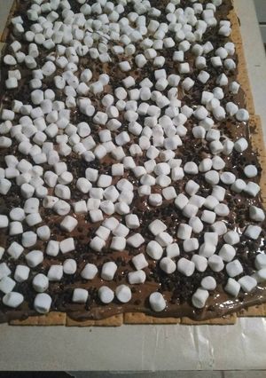 A picture of S'More bark.