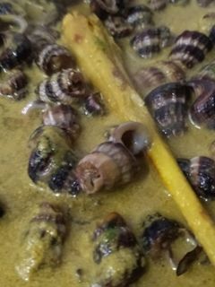 Gambar Siput sedut lemak cili api