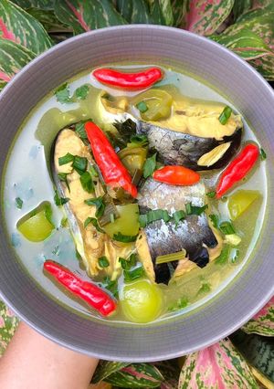 Foto resep 148. Sup Ikan Patin