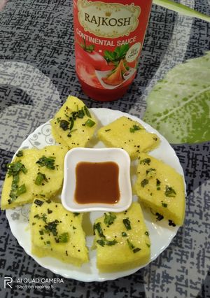 A picture of Khaman dhokla healthy breakfast.