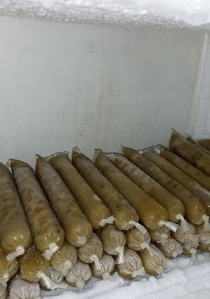 Foto resep Ide jualan es mambo kacang ijo 1000'an