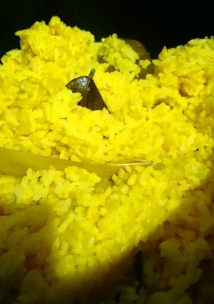 Foto resep Nasi kuning ricecooker / magiccom