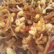 Ikan asin tumis kecambah