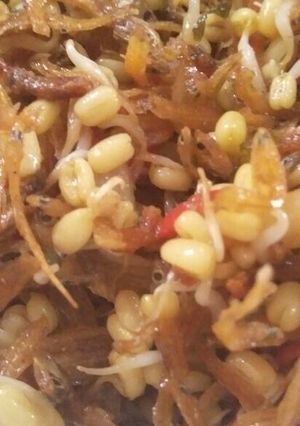 Foto resep Ikan asin tumis kecambah