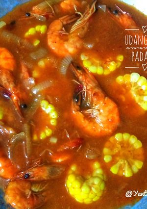 Foto resep Udang Saos Padang