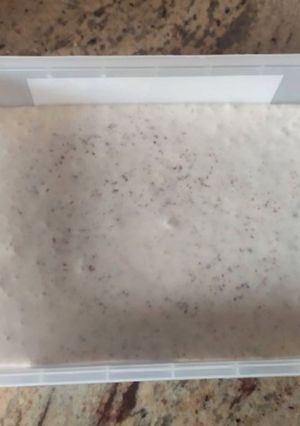 Una foto de Helado casero de stracciatella súper fácil y muy Rico!!