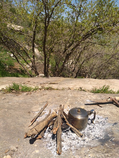 عکسی از دستور چای درطبیعت
