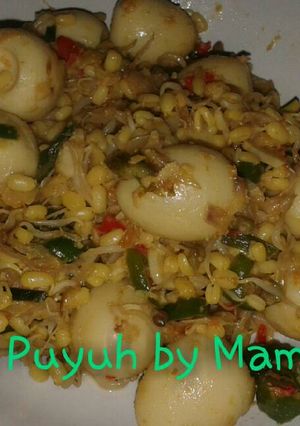 Foto resep Sarang puyuh