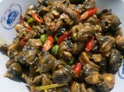Gambar tutut tumis pedas