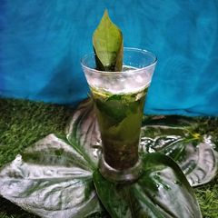 A picture of Paan leaf mocktail.