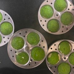 A picture of Palak/ spinach idli.