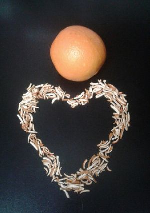عکسی از دستور چالش روز چهاردهم