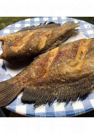 รูปของ ปลาสลิดทอด🐟
