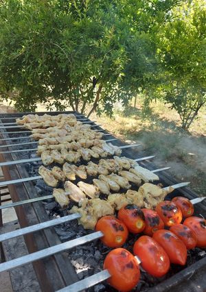 عکسی از دستور جوجه ماست موسیر🍗