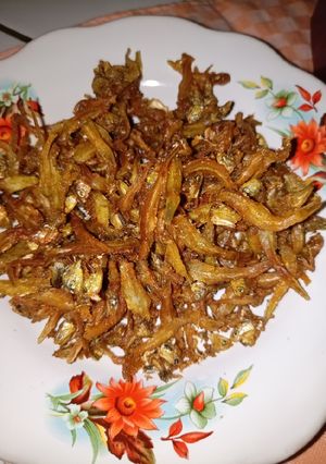 Foto resep Teri Jengki Goreng Garing Bumbu Praktis